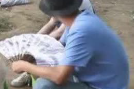 雷山为什么选择专业追讨公司来处理您的债务纠纷？